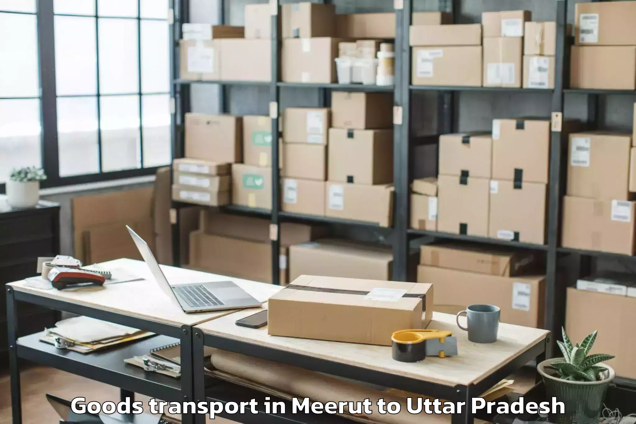 Top Meerut to Nanpara Goods Transport Available